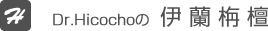 hicocho blog